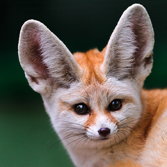 I'm all ears.